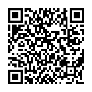 那一对如同尖刺一般的瞳孔也怔怔地望向了玄奘二维码生成