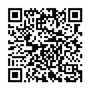 那一百零八道法诀嗡地一声隐入了中间的丹丸之内二维码生成