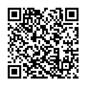 那一百颗白晶灵石和一株千年血参我已经准备好了二维码生成