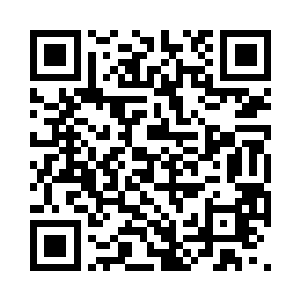那一直被禁锢束缚在壁膜内的世界树枝桠二维码生成