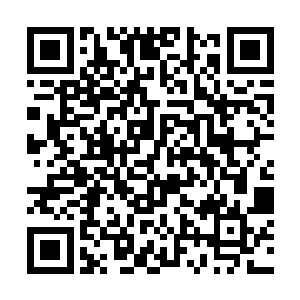 那一道紫色的灵火就在光幕上划了一个一人高的圆圈二维码生成