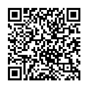 那上千人的庞大人潮让机场看起来像是演唱会的现场二维码生成