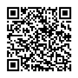 那上去也是送死――没见整个玉泉派都在被屠杀呢么二维码生成