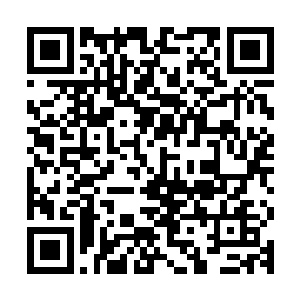 那上面毕竟是远古大能曾经与异族邪灵和太古凶兽作战的主战场二维码生成