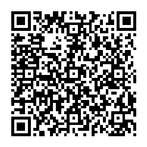 那不是自己找死所以我毫不犹豫就让戾血莲朝着钱萍的方向发射了全部的莲瓣导弹二维码生成