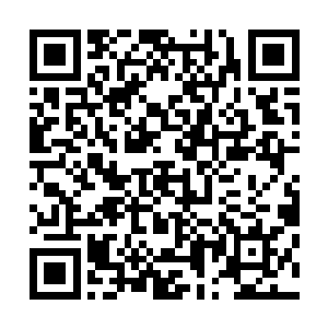 那不知通往何方的虚空甬道正在源源不断地涌出小石族大军二维码生成
