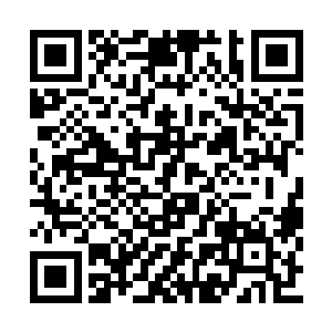 那两个奴婢是因为担心自己也和叶欣一样被牵累二维码生成