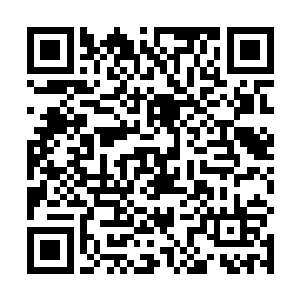那个光团便向着扑向百族天尊的几个仙狱罪犯呼啸而去二维码生成