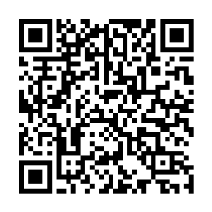 那个刺杀他哥哥的幕后人肯定不会让阮灵玉回国继承王位的二维码生成