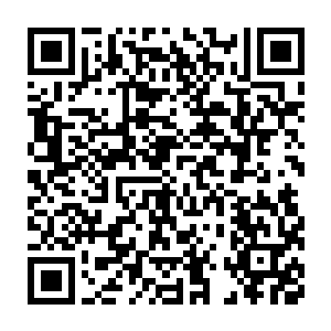 那个斐波那契数列与黄金螺旋和战士位阶与自然界诸多事物的联系二维码生成
