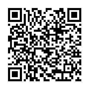 那个时候你还不知道上元大陆的修士有没有被虐待二维码生成