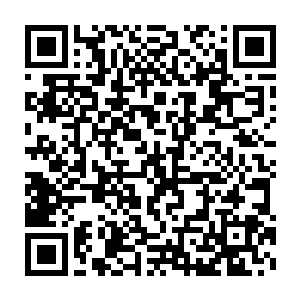 那个时候才是我们真正收割的季节――现在退出去实在太可惜了啊二维码生成
