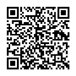 那个时候的我在黑炎城的一家杂货店做学徒打工二维码生成