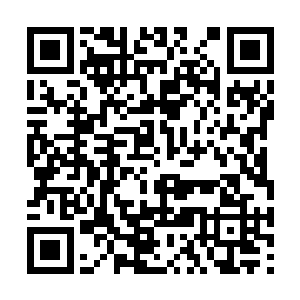 那个时候的许紫烟还没有经历过百族试炼场的磨砺二维码生成