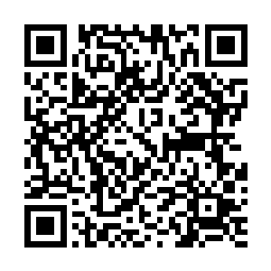 那么他们每次攻击能够调动的就是十元力到五十元力之间二维码生成
