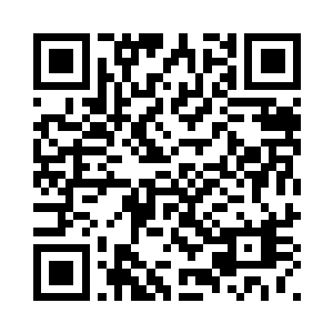 那么他就是下任小极宫宫主的人选二维码生成