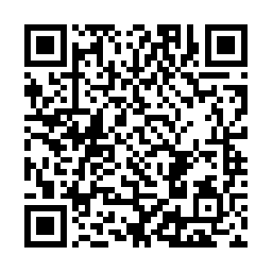 那么他的修为和战力将会提升到一个何等惊人的程度二维码生成