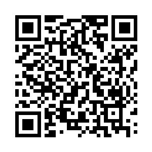 那么十二经脉与奇经八脉就是主干驿路二维码生成