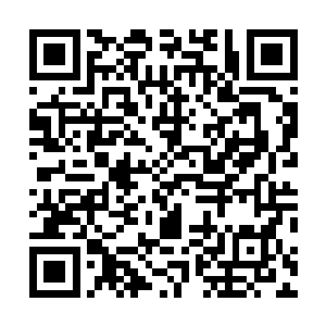 那么只要不是让他去杀自己的兄弟或者是去伤害埃文公爵二维码生成