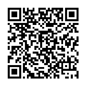 那么我们姐妹面对的可不仅仅是大韩民国成千上万的二维码生成