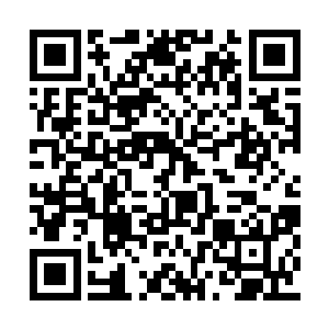 那么本大小姐就好好的招待一下你这位国际友人二维码生成