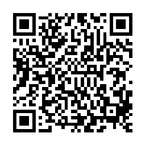 那么现在他体内的虫族基因力量就像是他所运用的元素力量一样二维码生成
