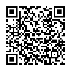 那么鸿蒙丹田的力量或许还远远不止我所在的混沌二维码生成