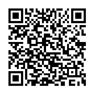 那么龙宇对摸魔尊来说实际上就没有什么意义了二维码生成