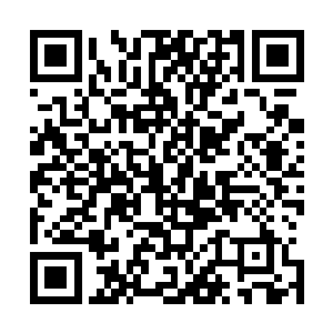 那乖顺的模样让人完全无法想象刚才她与五皇子对峙的强硬二维码生成