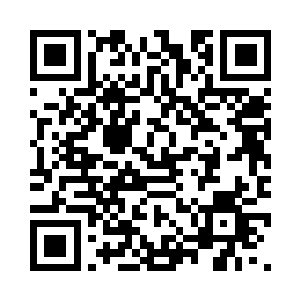 那也是对练气期的修真者来说会比较缺乏一些二维码生成