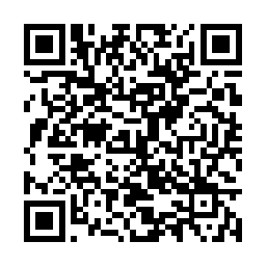 那五颜六色的能力光辉也再次从四面八方激涌而来二维码生成