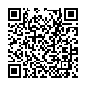 那些一直在远处偷窥的人也满怀着疑问隐去了身形二维码生成