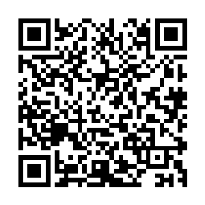 那些世俗界和小宗门的力量不可能全部都投进了无尽森林之内二维码生成