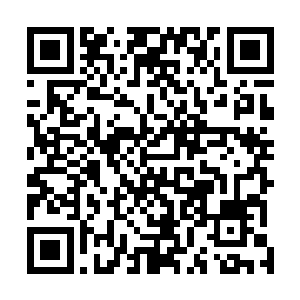 那些半神绝对无法想到我炼骨族还有比骨器更可怕的武器二维码生成