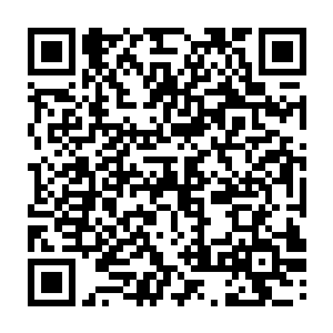 那些原本从银色地毯中探出脑袋注视着他们的一双双黑亮的大眼睛也迅速隐没二维码生成