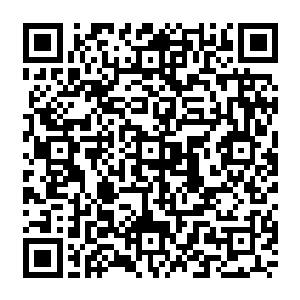 那些原本自大厅战斗的人群忽然停下了手中的动作纷纷向着林辰与菊下小次郎的方向望去二维码生成
