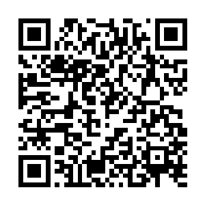 那些名字上所代表着的基因改造可是完全符合古代传说的啊二维码生成