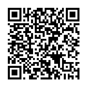 那些围拢来的修士听着张潇晗的言词都只觉得惊诧二维码生成