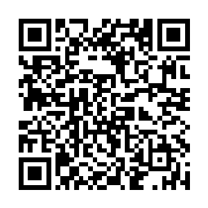那些大户人家的女眷平日里坐在马车中从街面上经过二维码生成