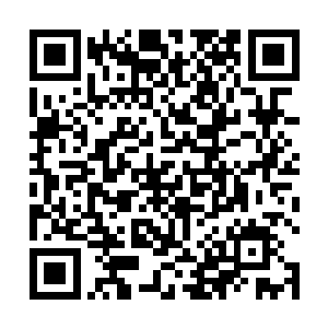 那些守山的佛门强者都不敢对他们有丝毫的阻拦和怠慢二维码生成