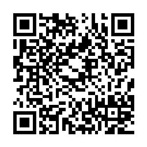那些年轻人不顾自己的同伴在外面已经遭遇到生死关头二维码生成