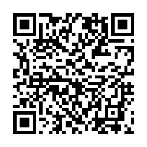 那些急急忙忙冲上来的白银鉄蚁一脑袋扎死在了逆刺上二维码生成