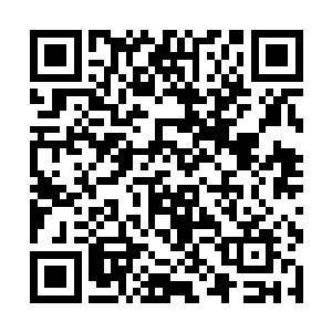 那些手臂粗的雷电一道接连一道的劈在凌云的身体上二维码生成