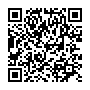 那些法则之力所凝聚成的沙子不断的洗刷着他的身躯二维码生成