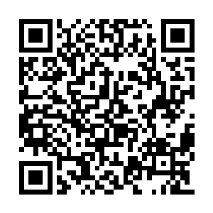 那些童子都是本次前来测试的童子中资质过人的二维码生成