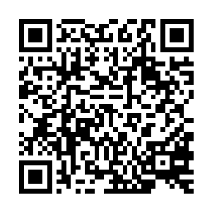 那些终日被恐惧所折磨的医生护士发现他们好像终于迎来了末日二维码生成