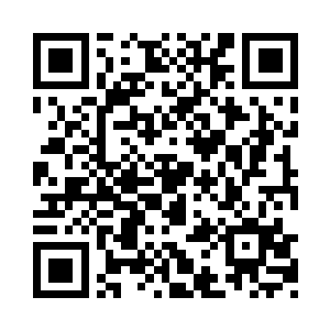 那些陪伴在我身边的人已经开始一个一个走远二维码生成