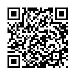 那些龙人们万分庆幸自己曾签订过契约二维码生成