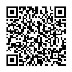 那人不知是不是把雪如楼的思索当做在他在考虑离开的问题二维码生成