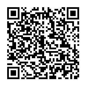 那从来没有出现在我视线里却无时无刻不影响我世界的爷爷杨战天二维码生成